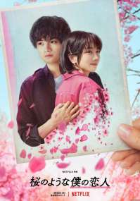 我的樱花恋人 Netflix海报