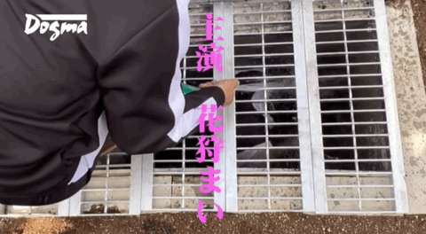 花狩まい(花狩舞,Kagari-Mai)作品OMHD-018介绍及封面预览-图片11