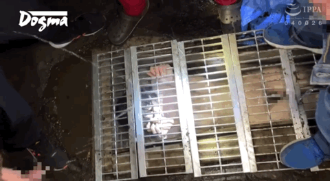 花狩まい(花狩舞,Kagari-Mai)作品OMHD-018介绍及封面预览-图片15