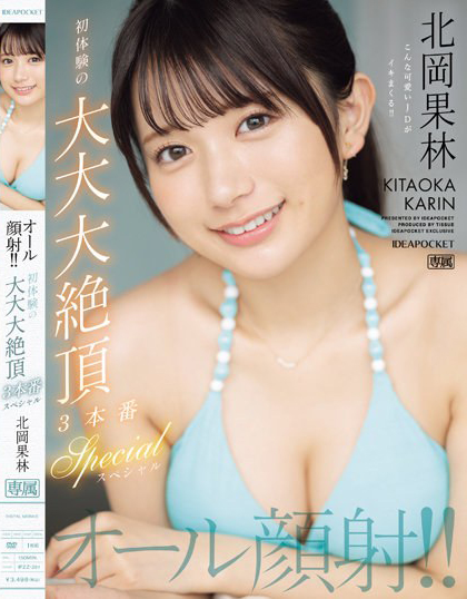 北岡果林(北冈果林，Kitaoka-Karin)作品IPZZ-291介绍及封面预览-艾尤社
