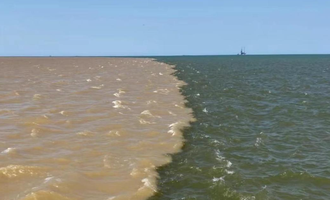 渤海水和黄河水为什么泾渭分明？-艾尤社
