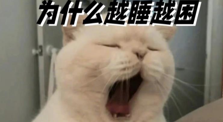 为什么睡觉，越睡越困？越睡越累？-艾尤社