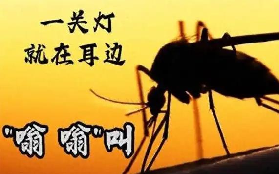 为什么开灯听不见蚊子叫，一关灯耳边都是嗡嗡声?-艾尤社
