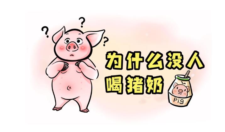 猪奶为什么没人喝？-艾尤社