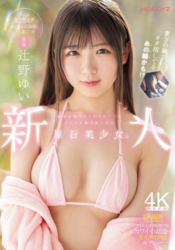 辻野ゆい(辻野唯)最新作品MIDA-228介绍及封面预览-艾尤社